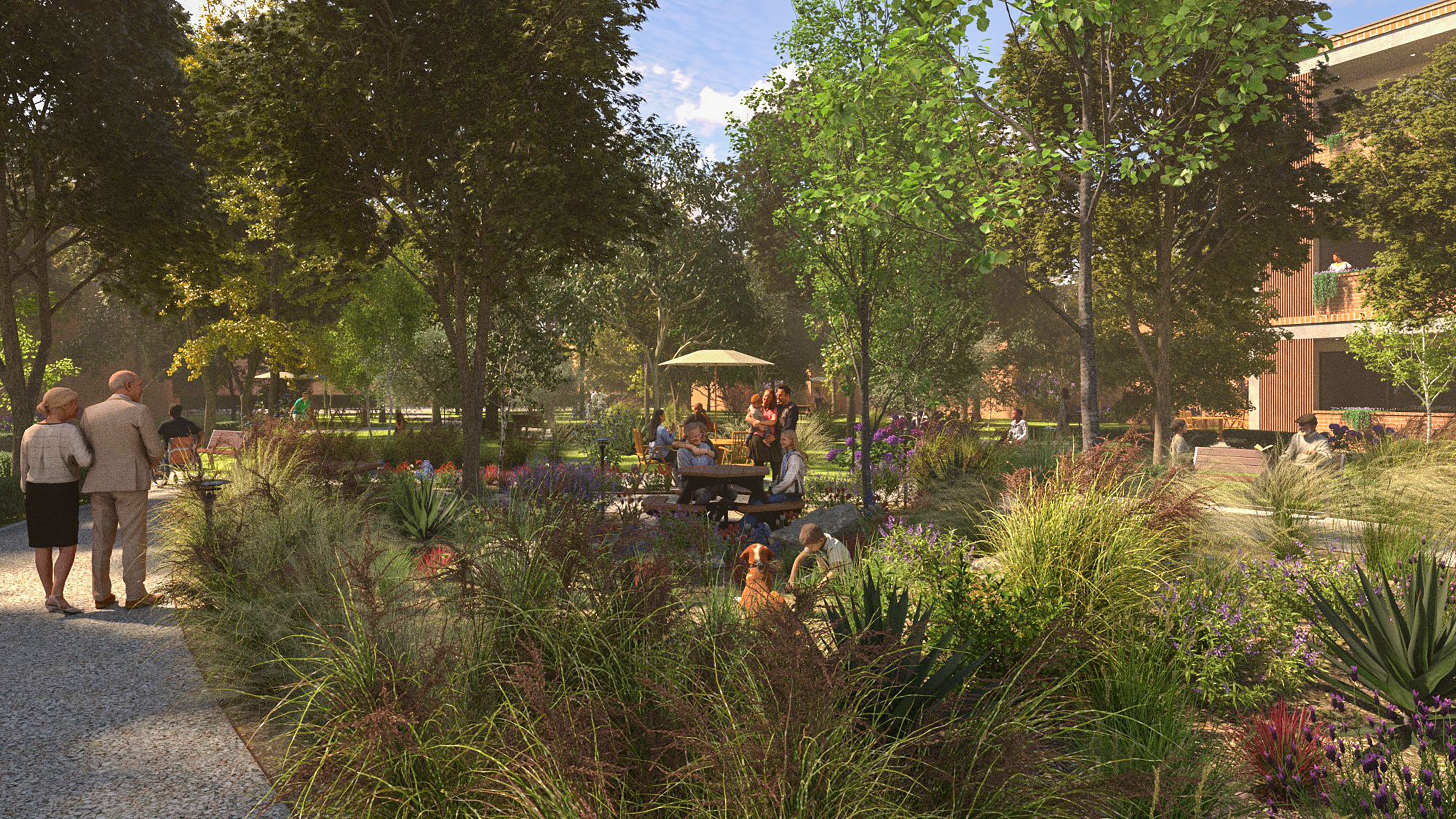 Rendering of the proposed wooded Veterans Park